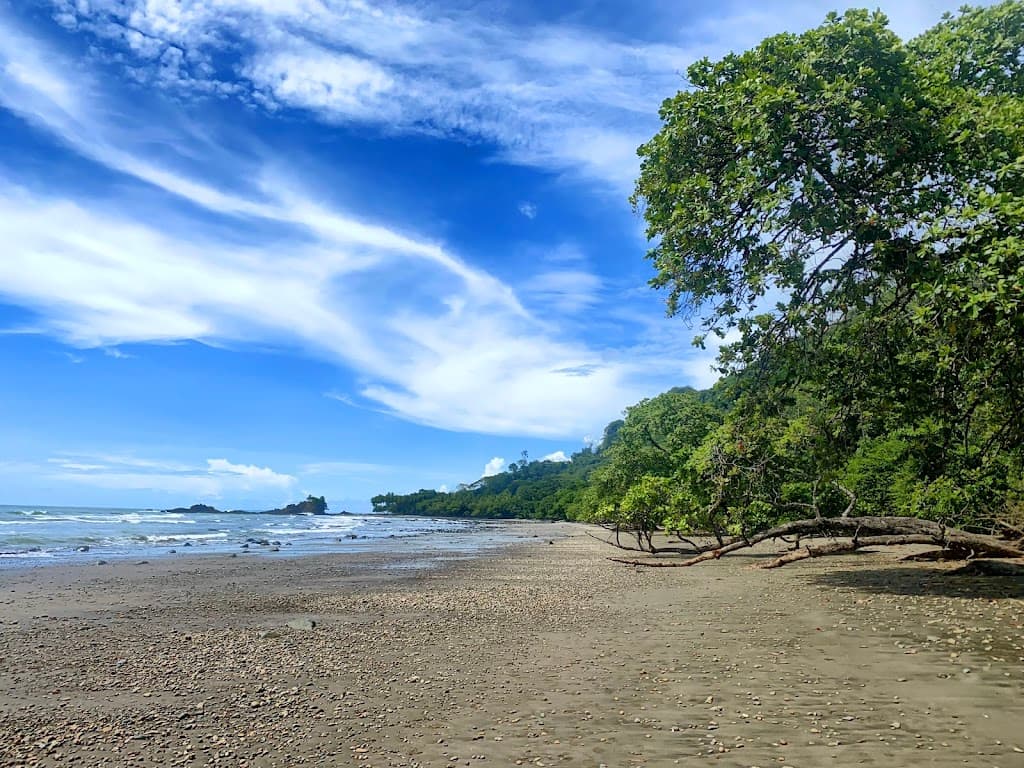 Playa Dominicalito