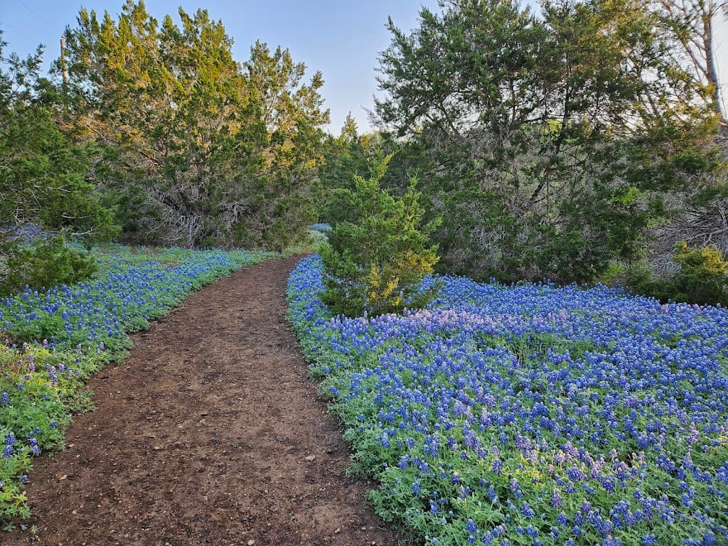 St. Edward’s Park