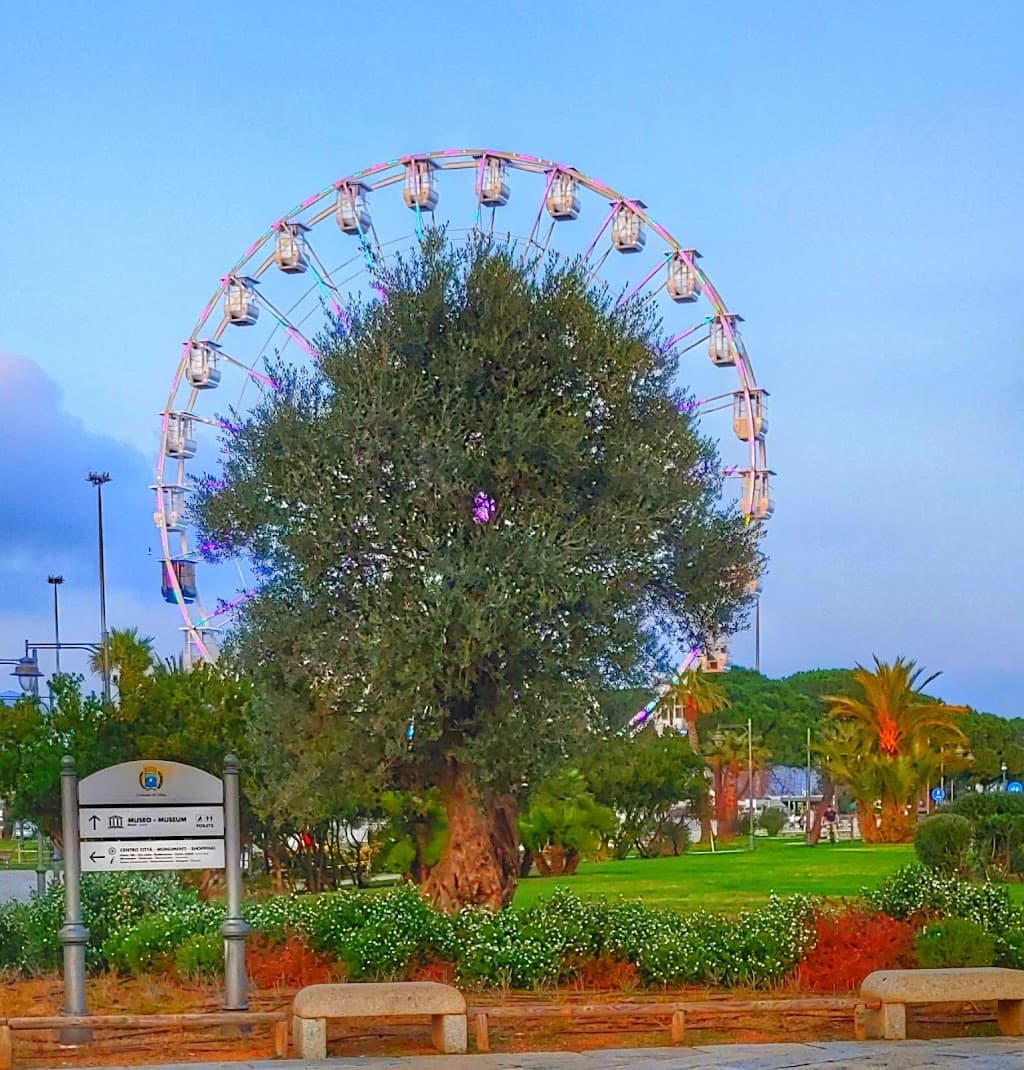 Piazza Elena di Gallura