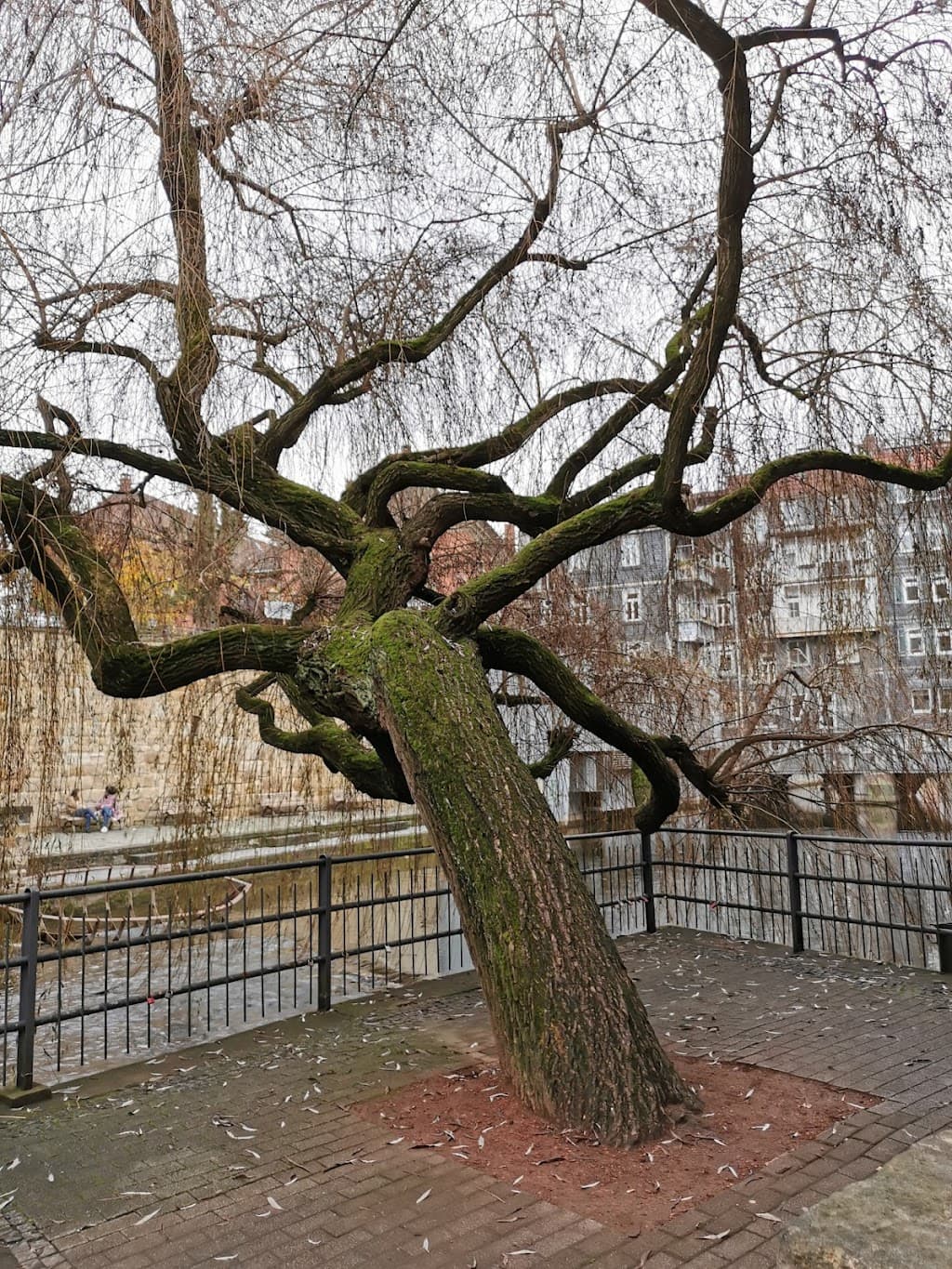 Kesselwasen