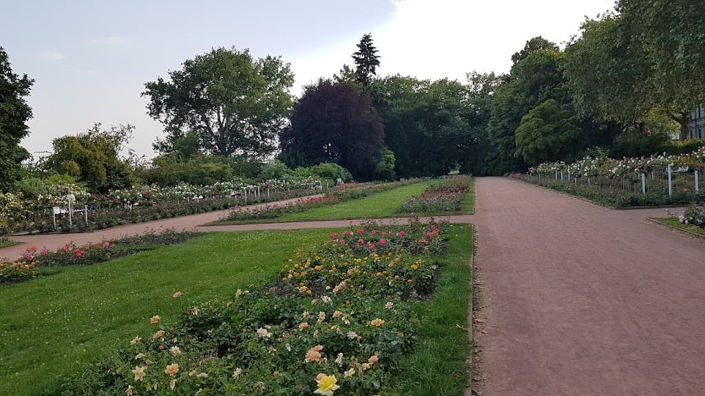 Rosengarten Dresden