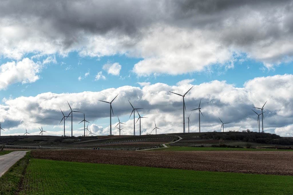 Windpark Wachenheim