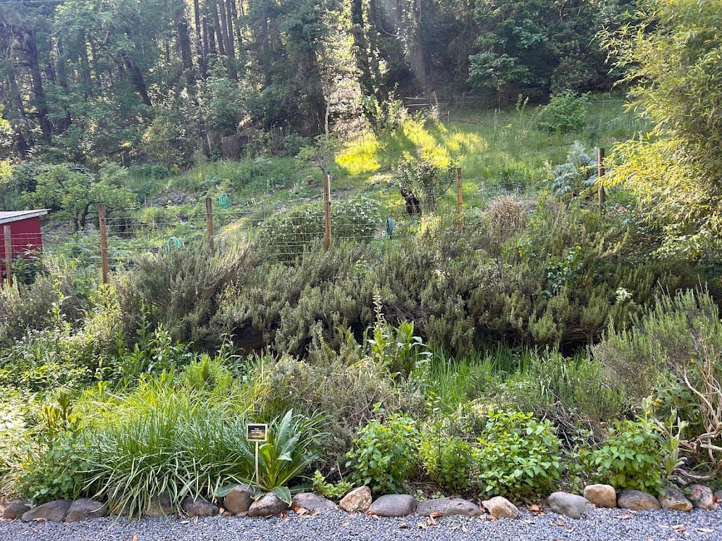 California School of Herbal Studies