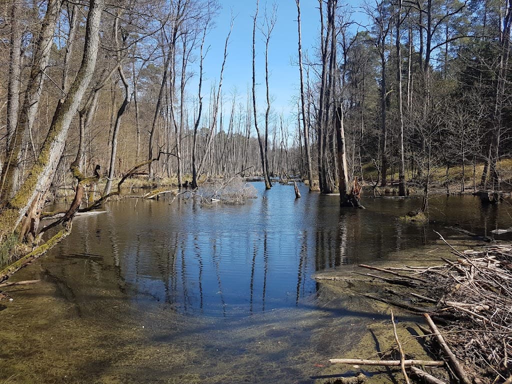 Briesetal