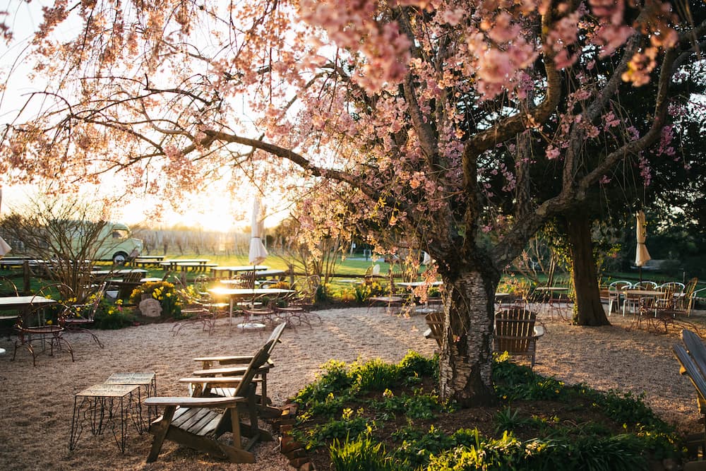 Croteaux Vineyards