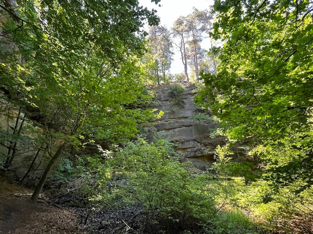 Felsformationen im Bentheimer Wald