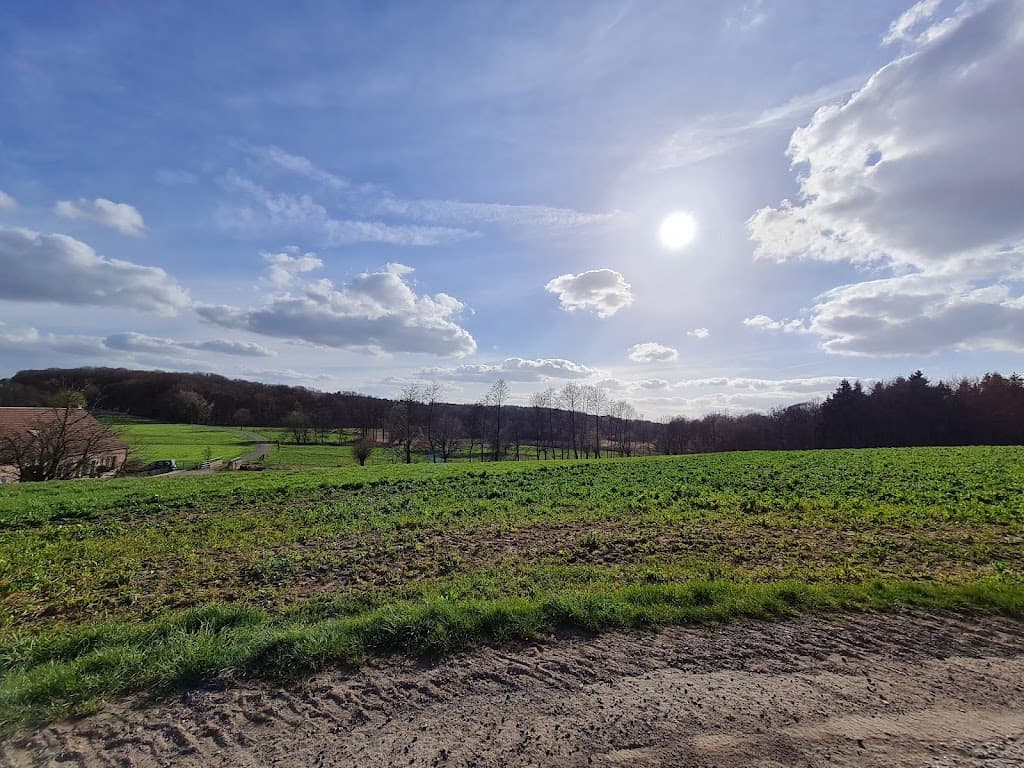Nettepark