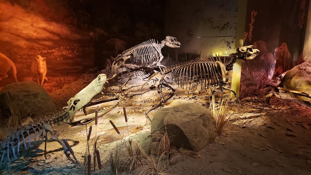 Fossilienfundstelle