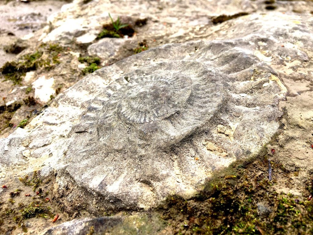 Schneckenpflaster Tübingen