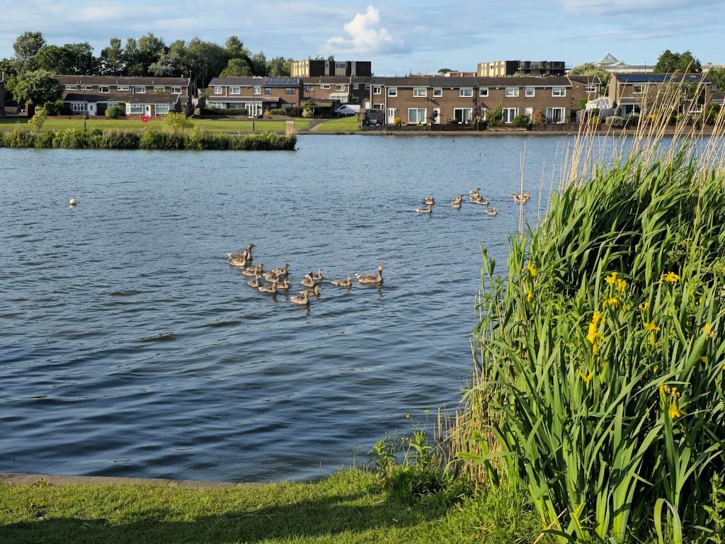 Killingworth Lake