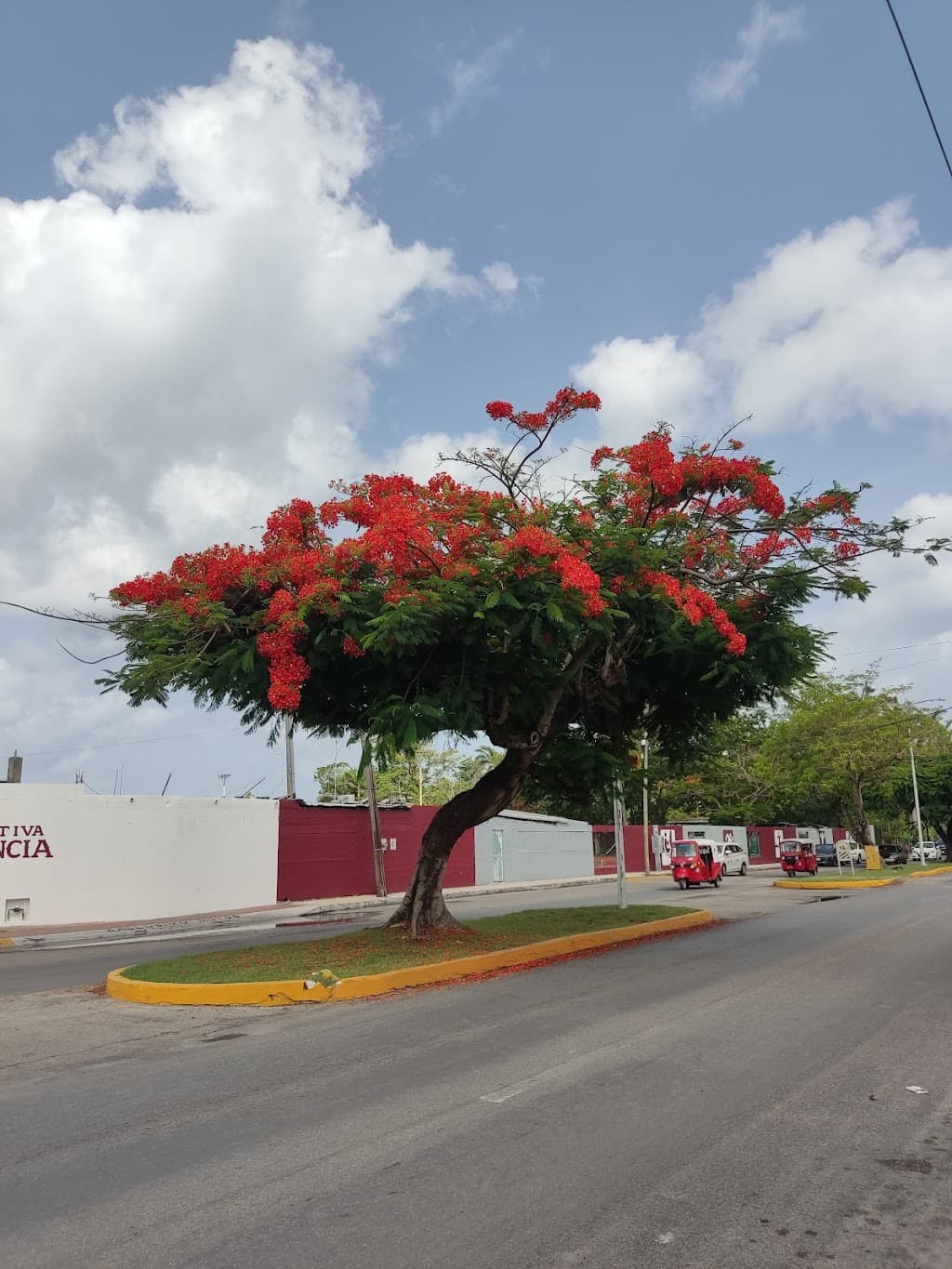 Plaza del Sol