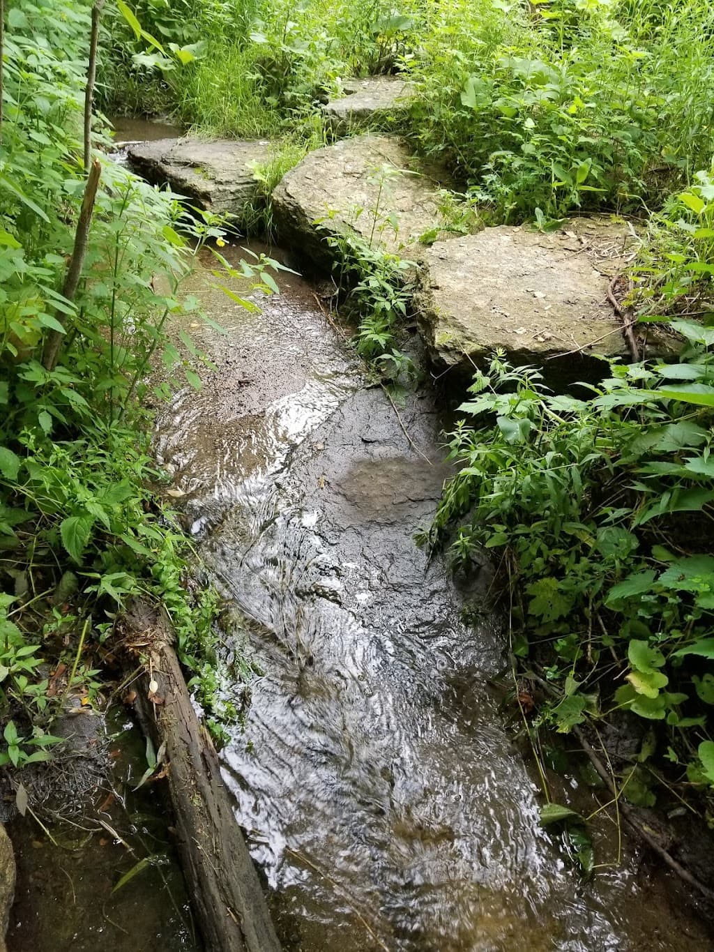 Swede Hollow Park