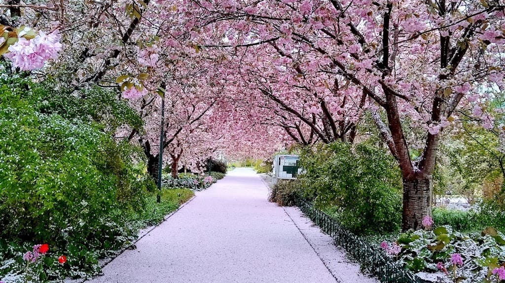 Botanischer Garten Rostock