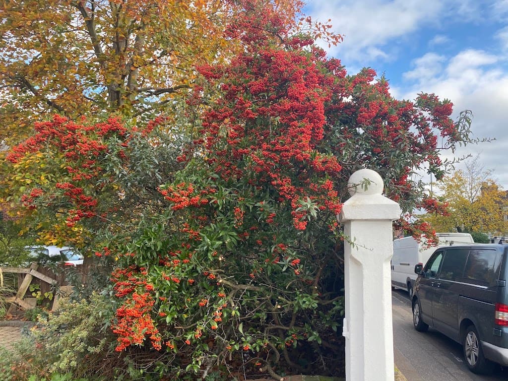 Unthank Road