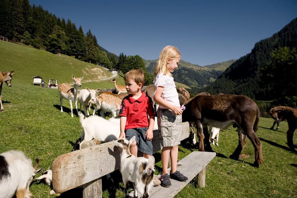 Wildpark Aurach