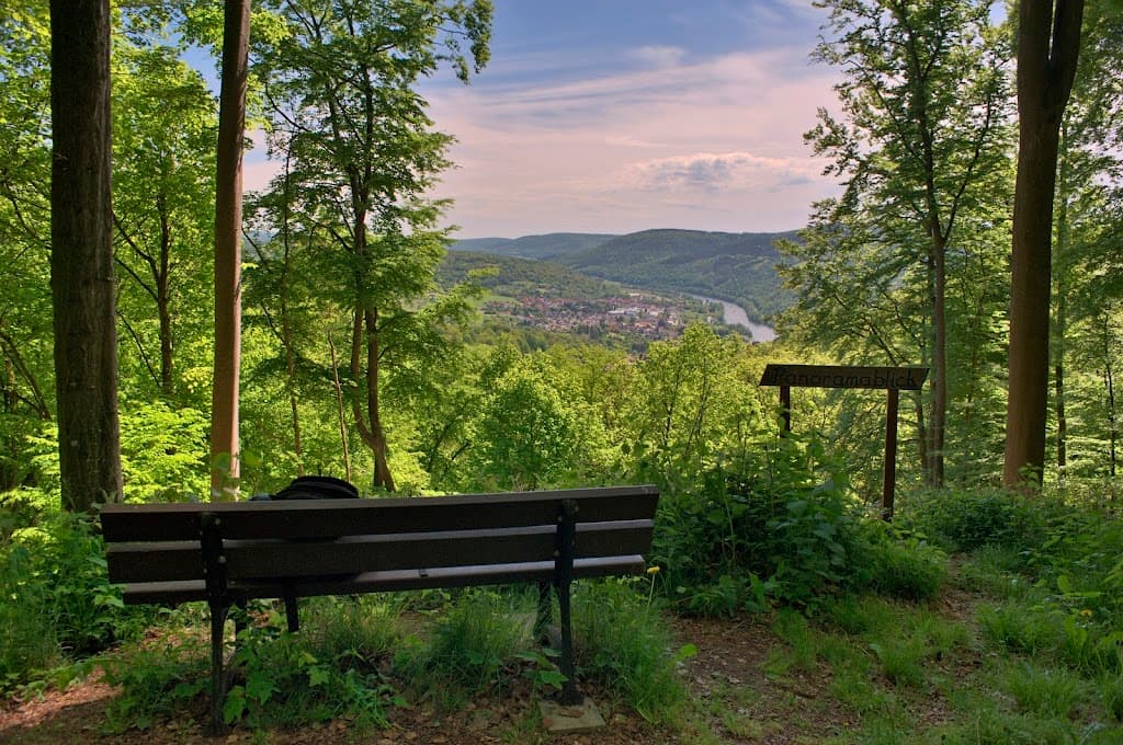 Aussichtspunkt über Collenberg