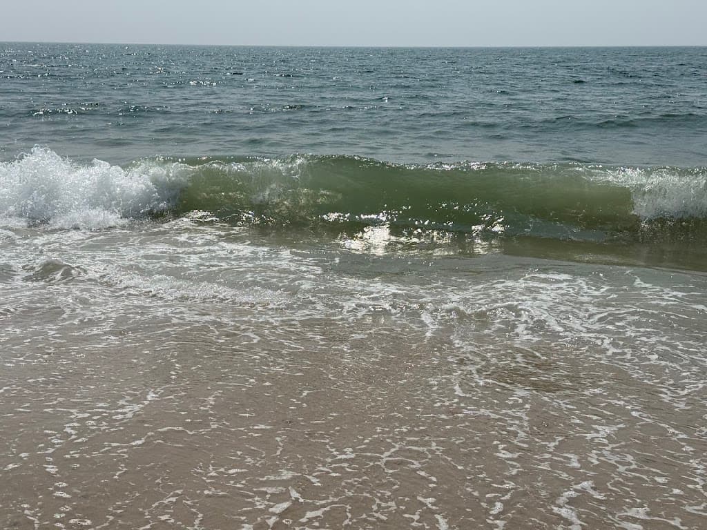 Coopers Beach