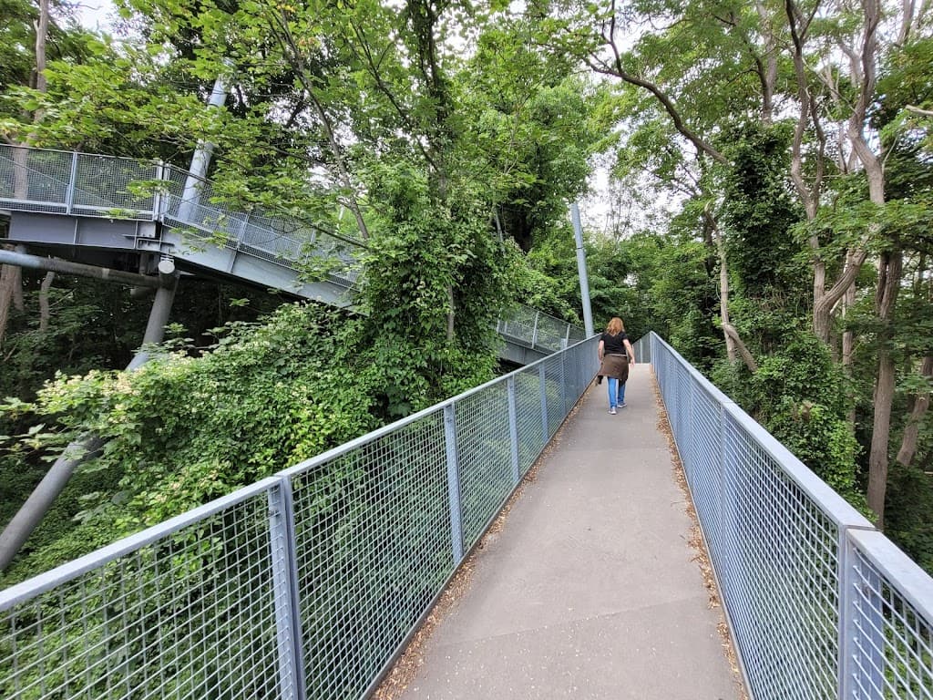 Carl-Alexander-Park