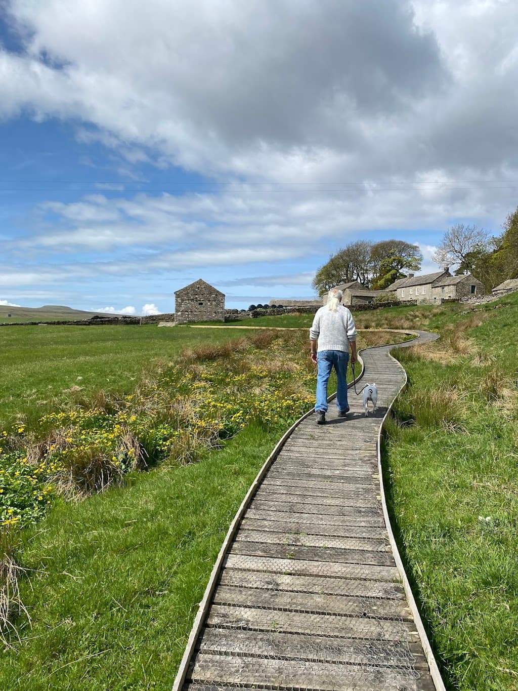Hannah's Meadows