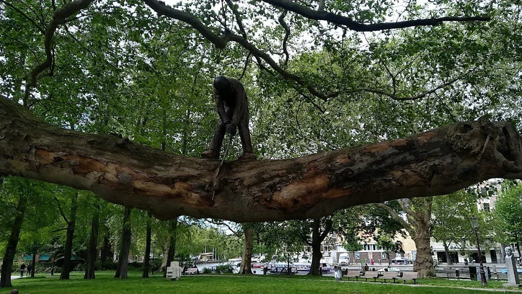Der Baum, der alles gesehen hat