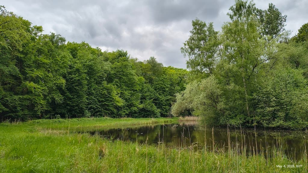 Wildnispark Münster