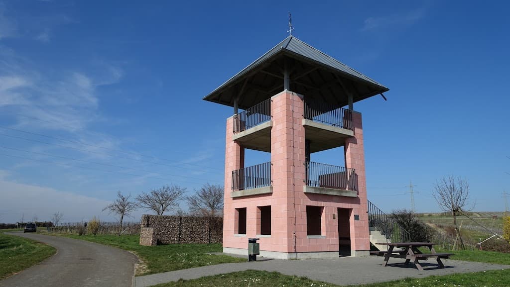 Weinbergsturm Ensheim