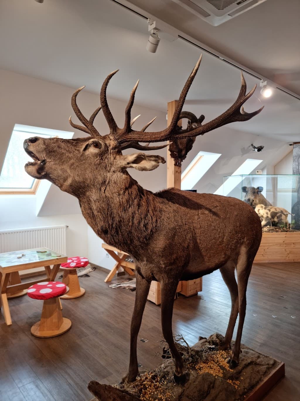 Jägermuseum