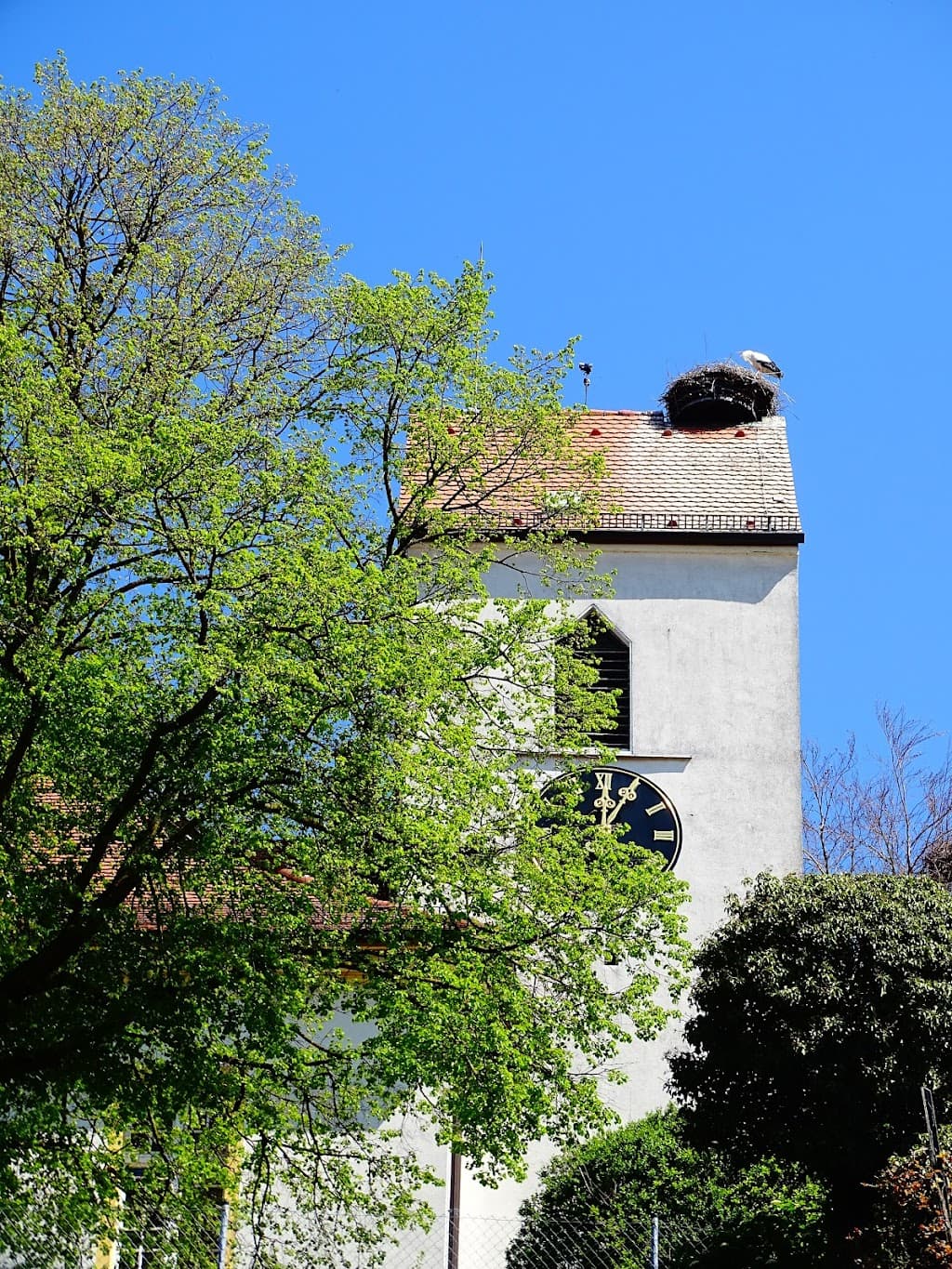 Bergkirche