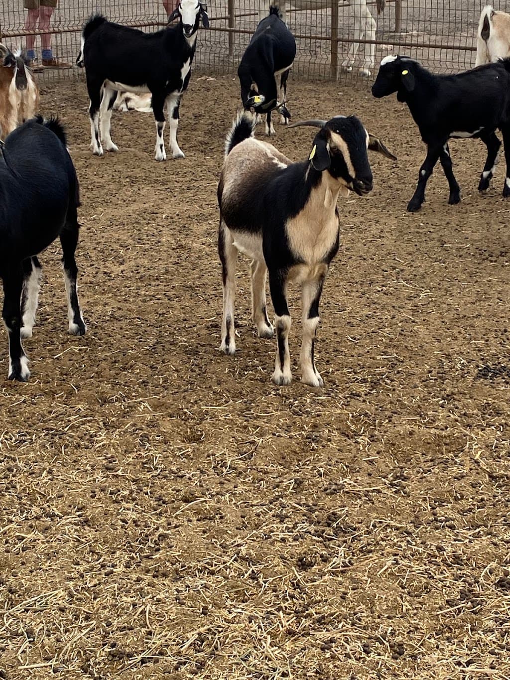 Granja Agrícola Experimental