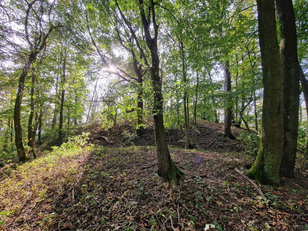 Burgstall Bergheide
