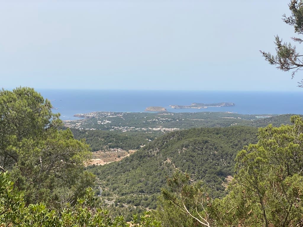 Sa Talaia Gebiet