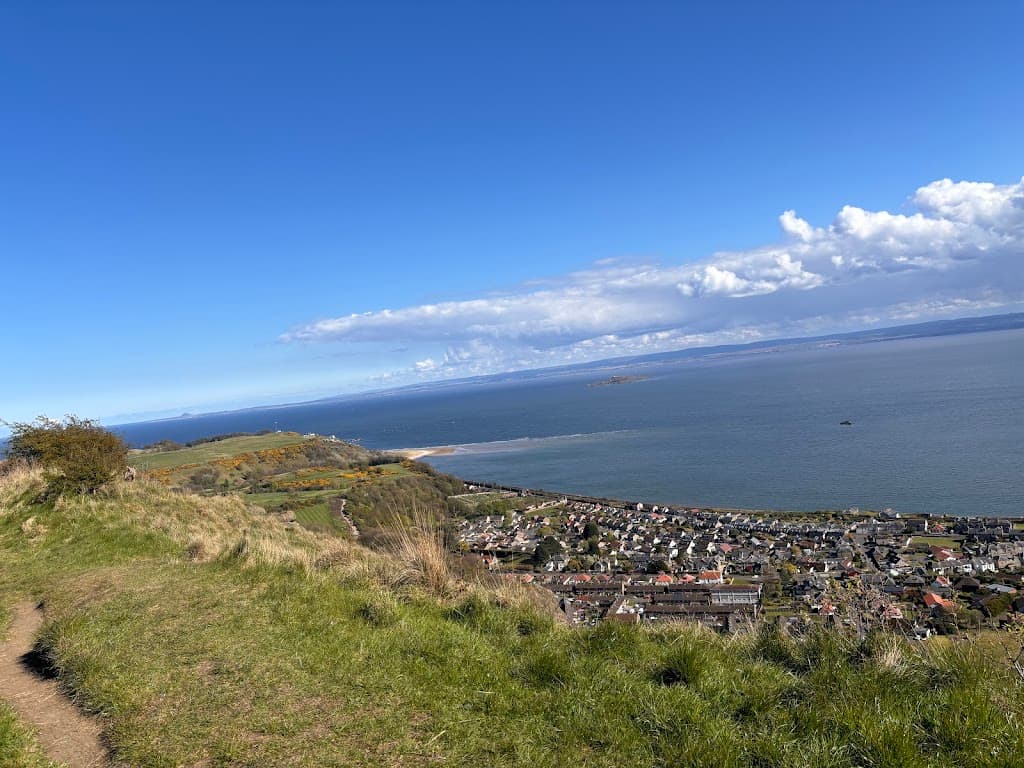 The Binn