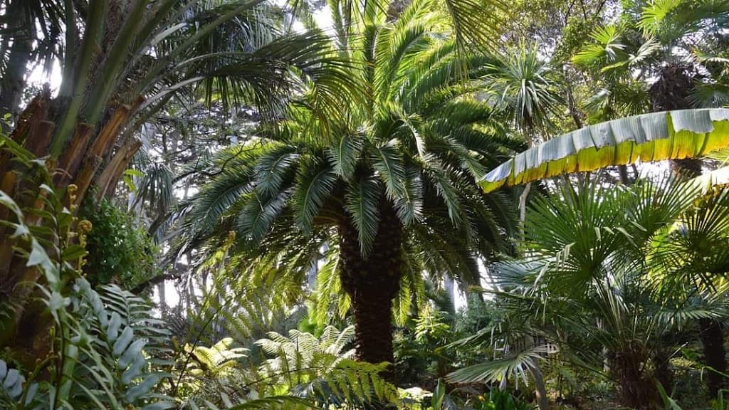 Georges Delaselle Garden