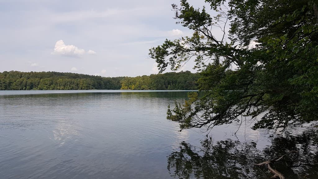 Stechlinsee