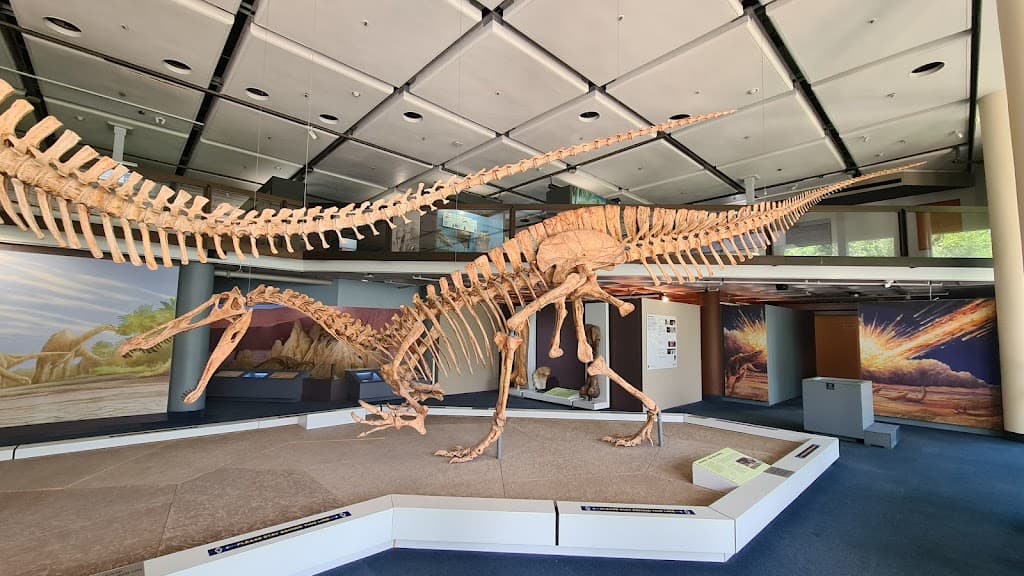 Iziko South African Museum