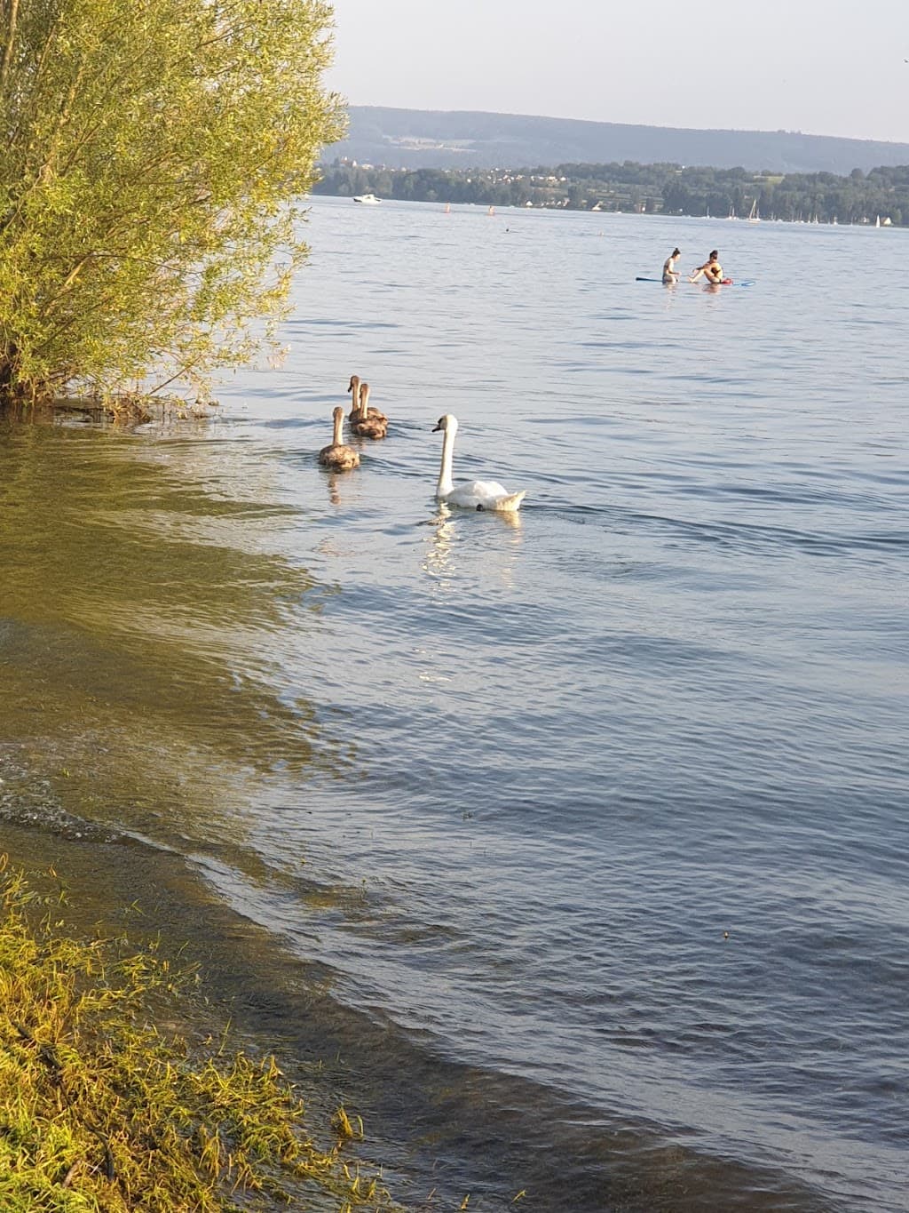 Uferpromenade Radolfzell