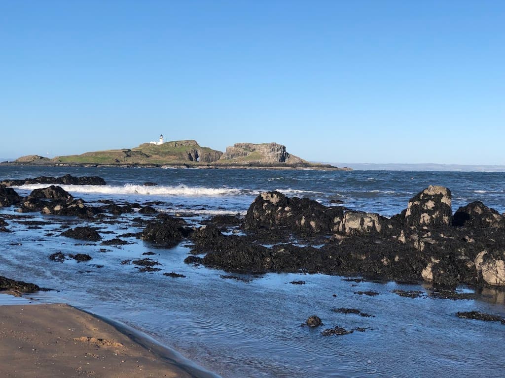 Yellowcraigs