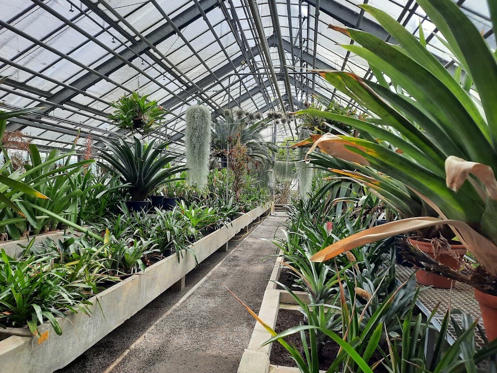 Botanischer Garten Heidelberg