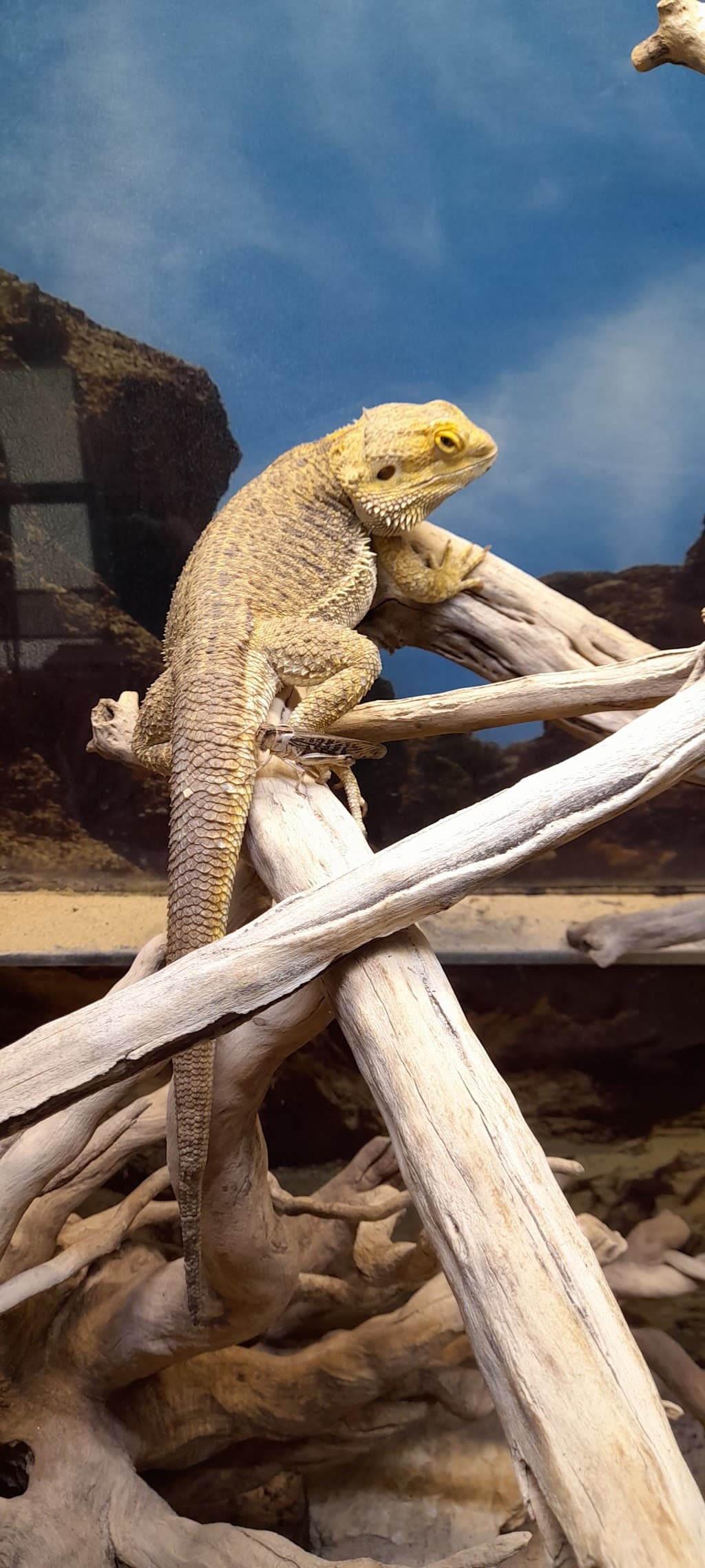 Vivarium Chemnitz