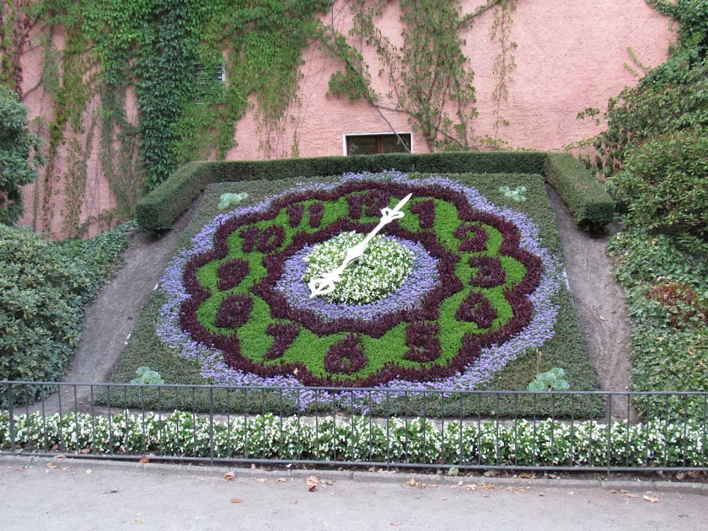 Blumenrad Zittau