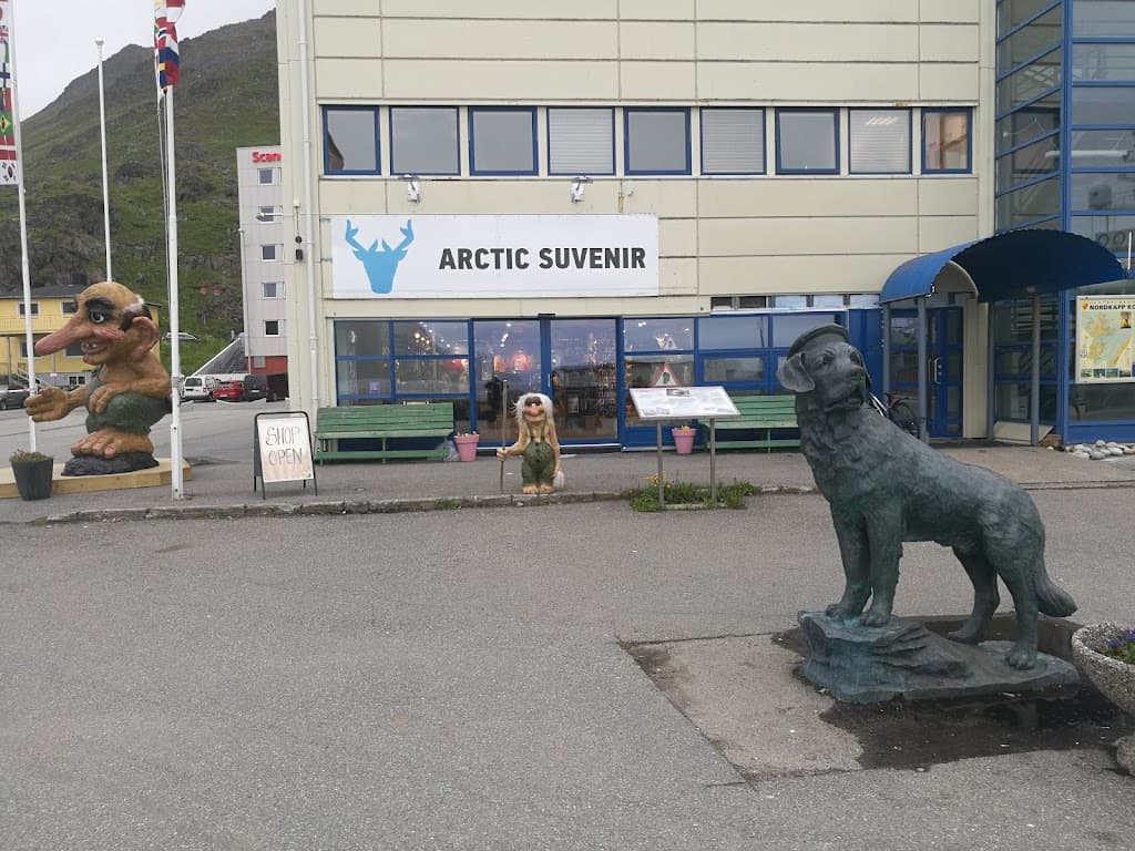 Arktische Eisbar