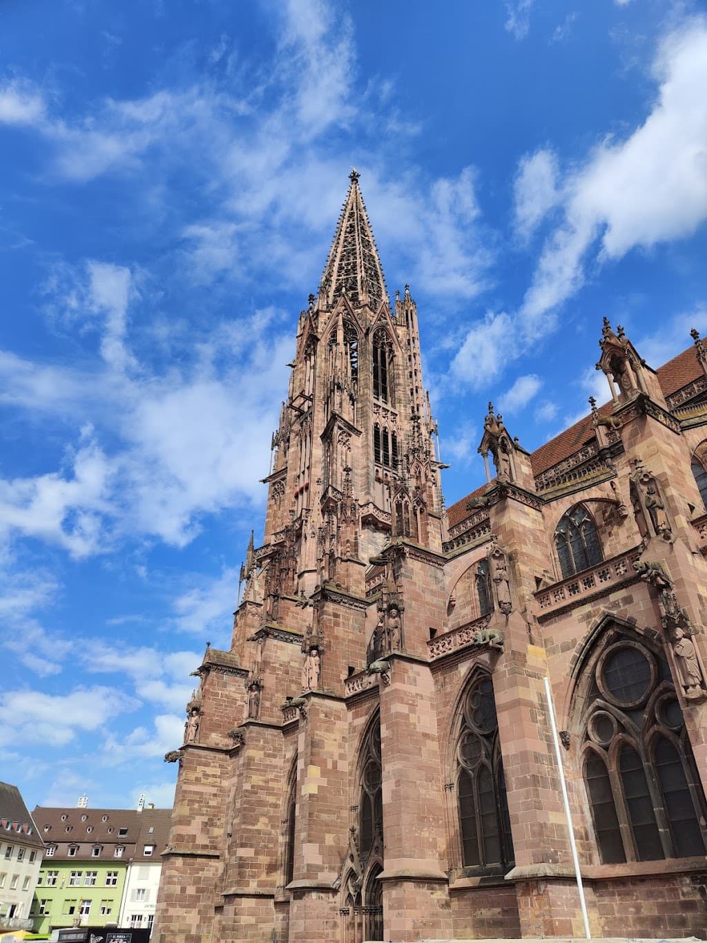 Freiburger Münster