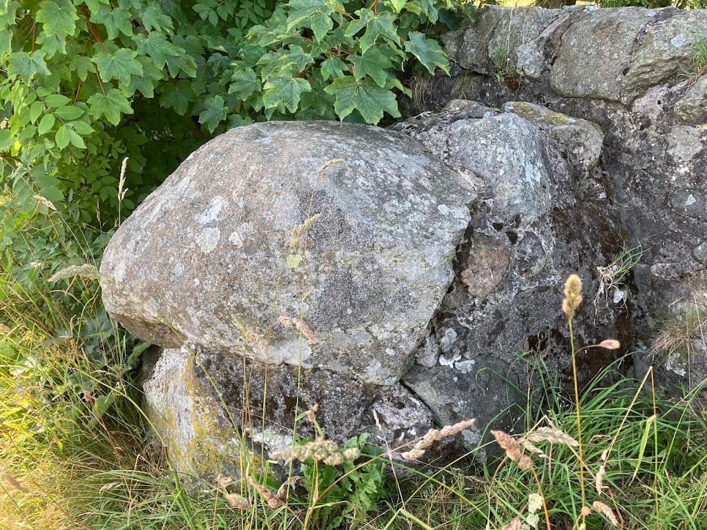 The Bull Stone, West Wemyss