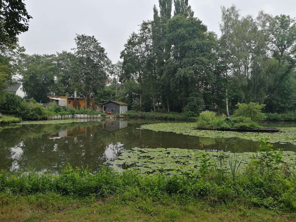 Alsdorfer Weiher
