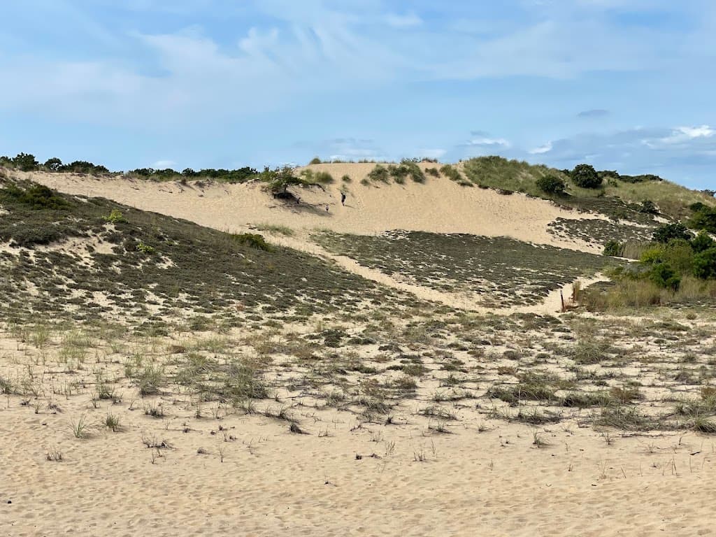 Wanderdünen Montauk