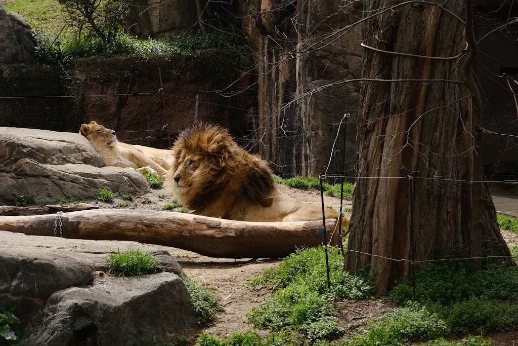 Tennoji Zoo