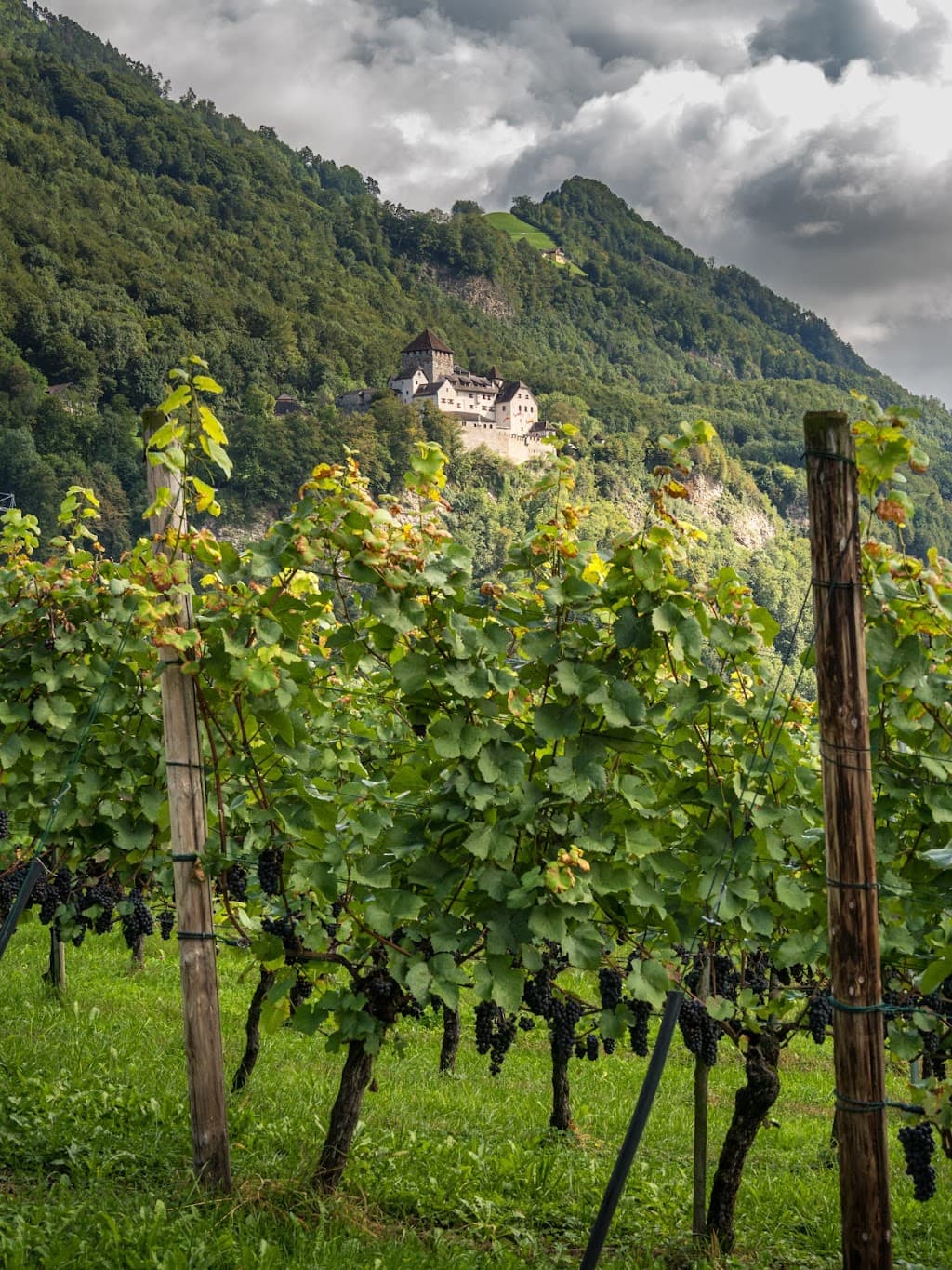 Hofkellerei des Fürsten von Liechtenstein