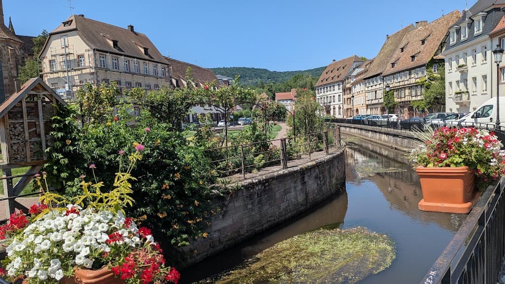 Le Schlupf