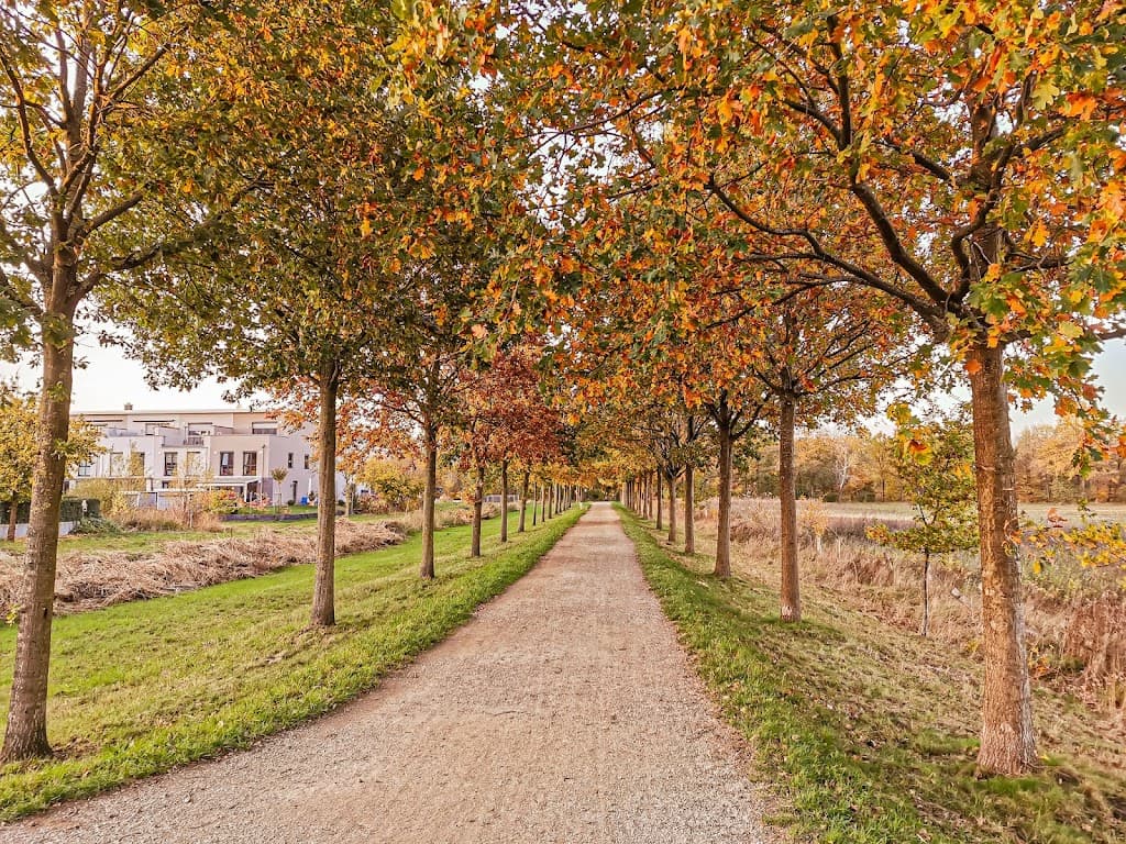 Achterdiekpark
