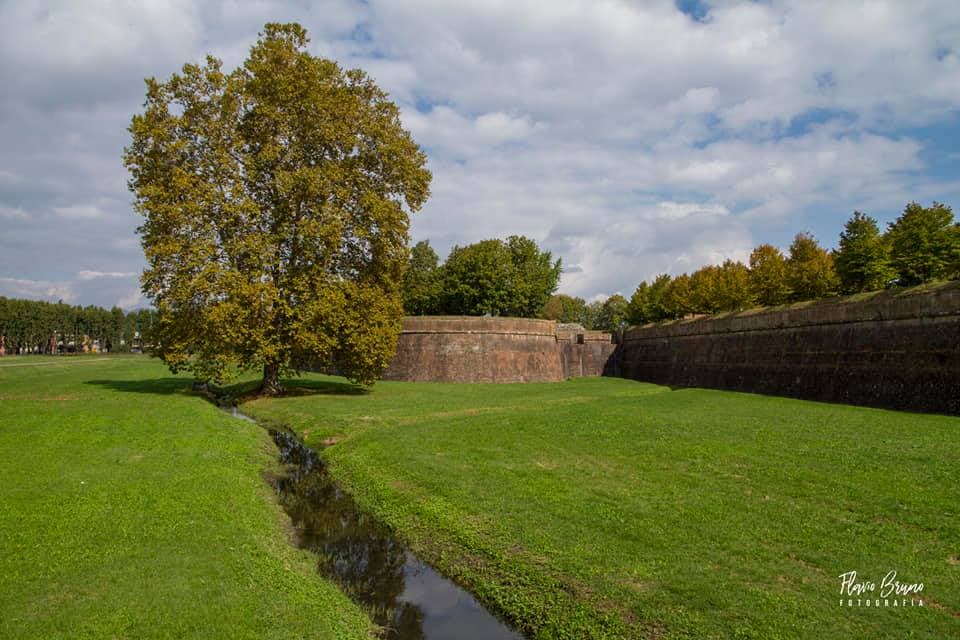 Mura di Lucca